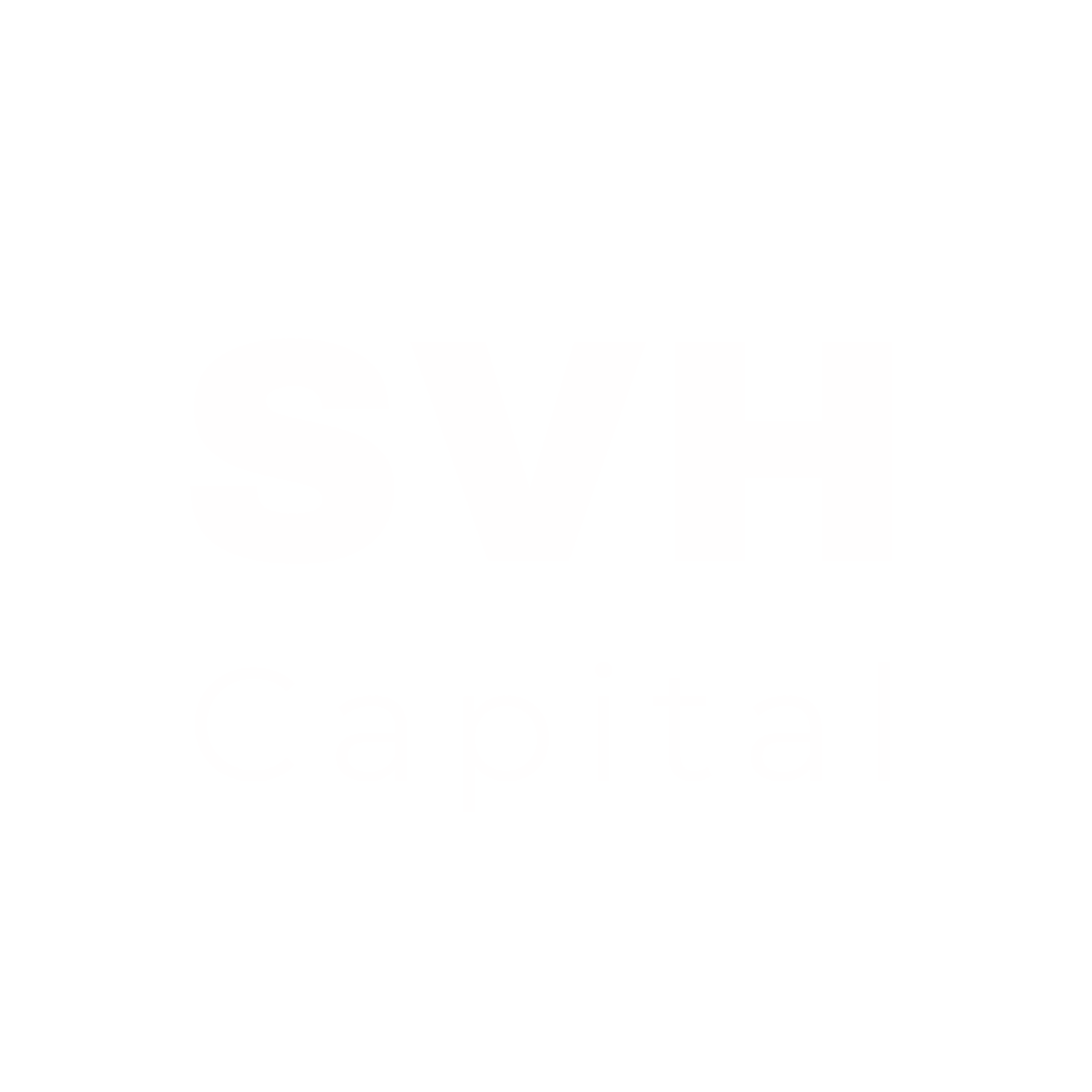 SVH Capital